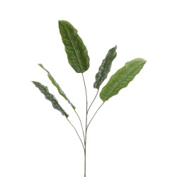 BANANIER Tige feuilles 124
