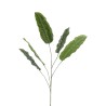 BANANIER Tige feuilles 124