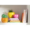 SMILEY Cachepots color POP