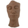 Visage DAVID Cachepot
