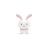 BUNNY lapin