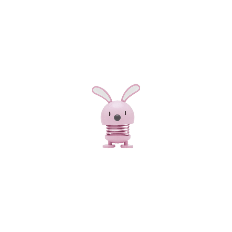 BUNNY lapin