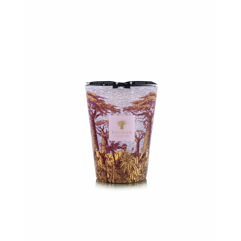 MASSASSO  Baobab Collection Sacred Tree Summer 25