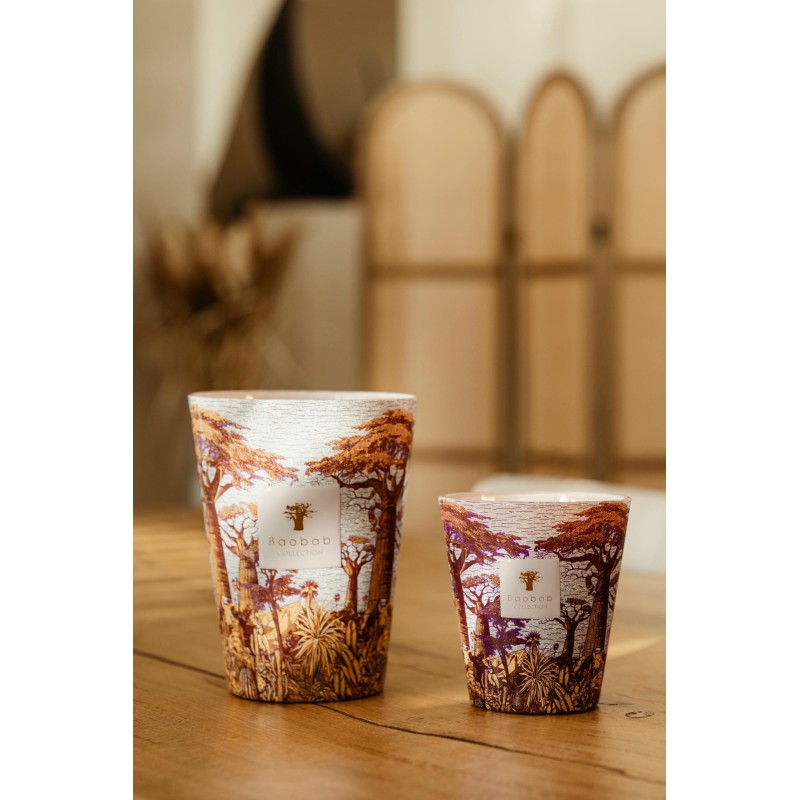 MASSASSO  Baobab Collection Sacred Tree Summer 25