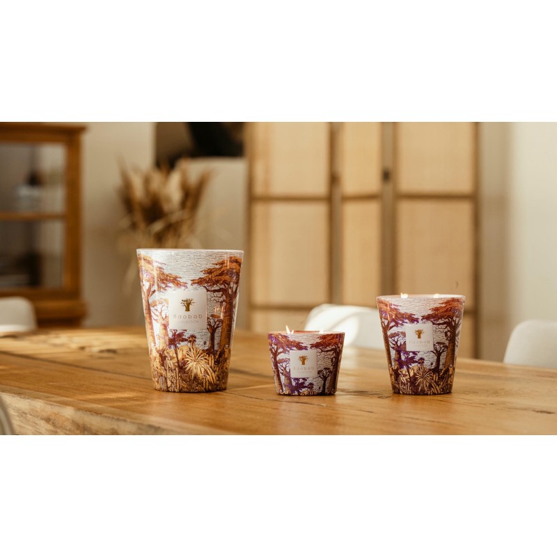MASSASSO  Baobab Collection Sacred Tree Summer 25
