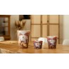 MASSASSO  Baobab Collection Sacred Tree Summer 25