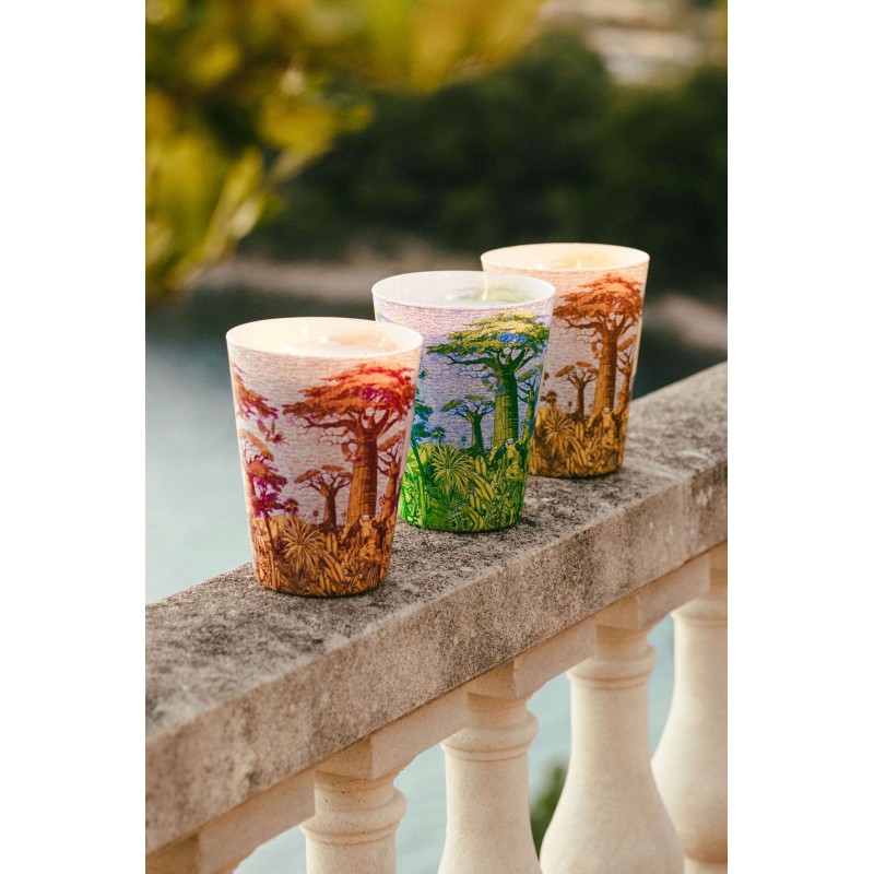MASSASSO  Baobab Collection Sacred Tree Summer 25