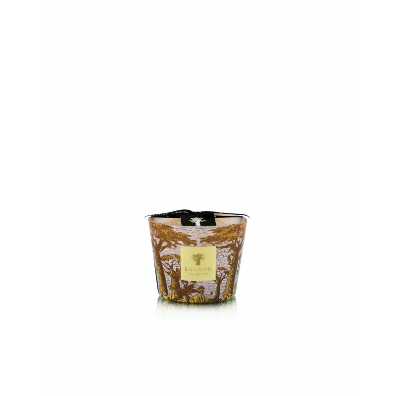 COCODY  Baobab Collection Sacred Tree Summer 25