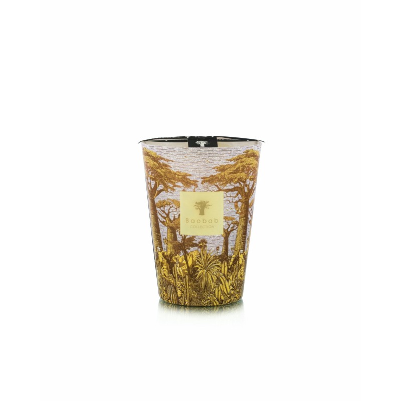 COCODY  Baobab Collection Sacred Tree Summer 25