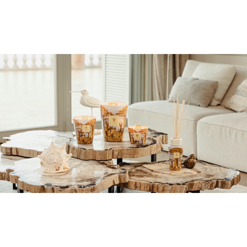 COCODY  Baobab Collection Sacred Tree Summer 25