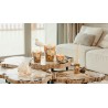 COCODY  Baobab Collection Sacred Tree Summer 25