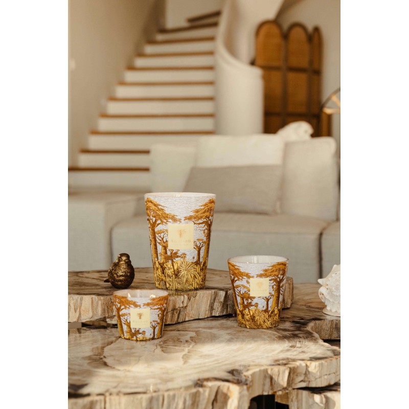 COCODY  Baobab Collection Sacred Tree Summer 25