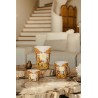 COCODY  Baobab Collection Sacred Tree Summer 25