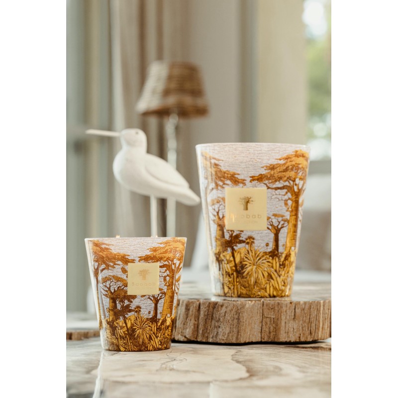 COCODY  Baobab Collection Sacred Tree Summer 25