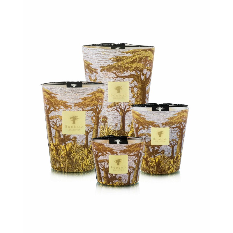 COCODY  Baobab Collection Sacred Tree Summer 25