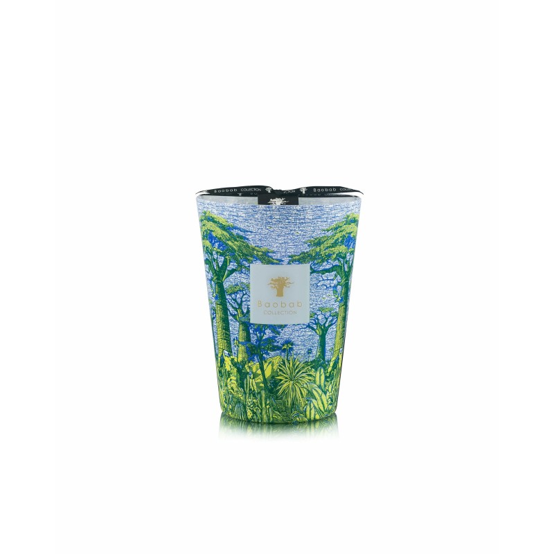 YARANI Baobab Collection Sacred Tree Summer 25