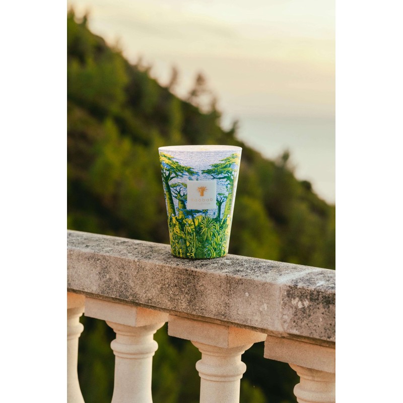 YARANI Baobab Collection Sacred Tree Summer 25