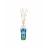 YARANI Diffuseur Baobab Collection Sacred Trees Summer 25