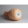 PINACOLADA Lampe Pink Blush