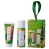 Coffret Secret Jardin de Pallanca