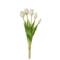 Bouquet Tulipes Blanche