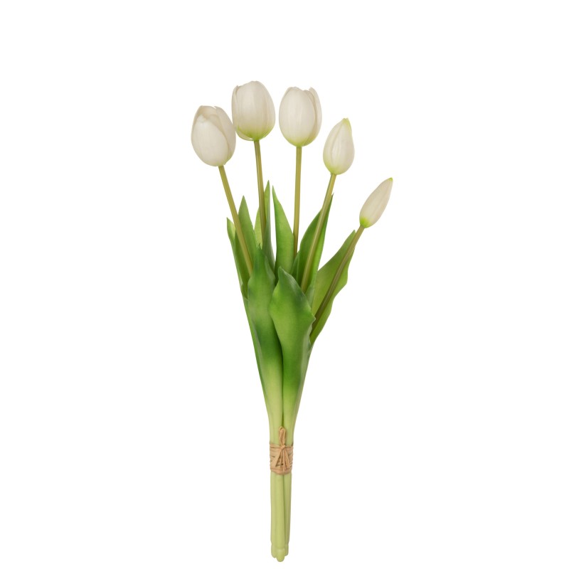 Bouquet Tulipes Blanche