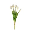 Bouquet Tulipes Blanche