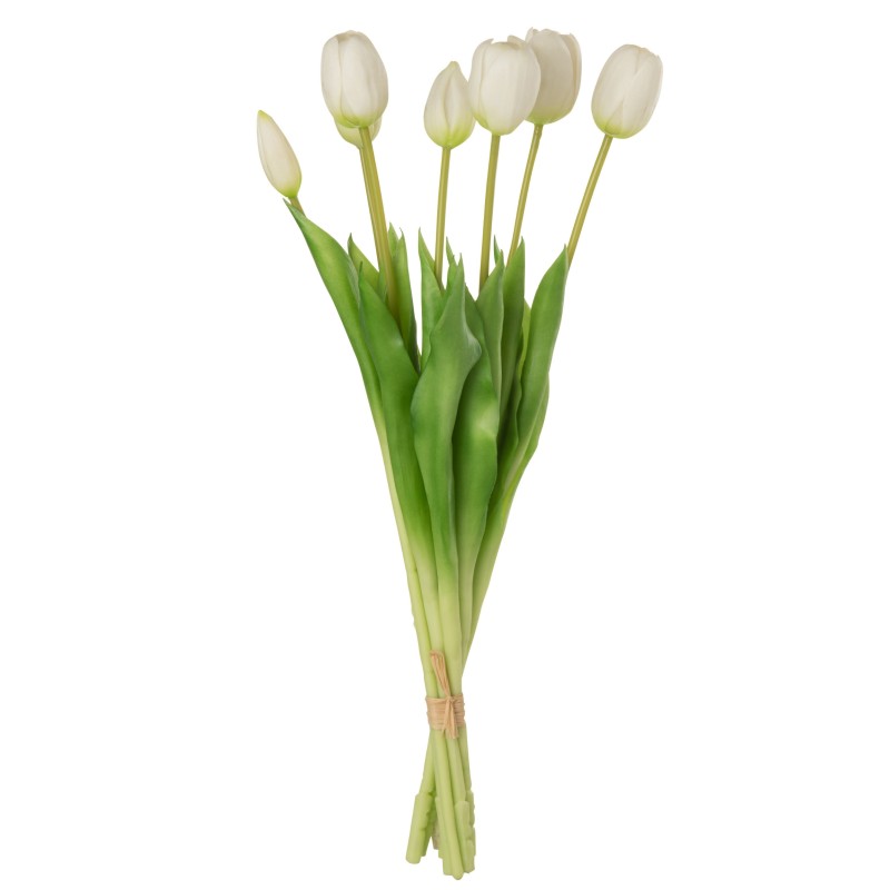 Bouquet Tulipes Blanche