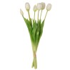 Bouquet Tulipes Blanche