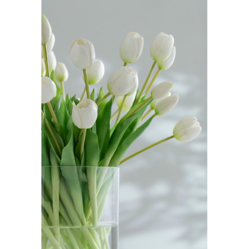 Bouquet Tulipes Blanche