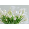 Bouquet Tulipes Blanche