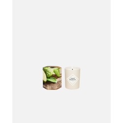 Santal Bergamote /Bougie parfumée MJC