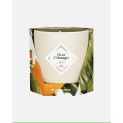 Fleur d'Oranger /Bougie parfumée MJC