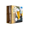 CLUB 10 Verres à biere 300ml S/2