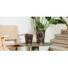 Sultan Baobab Collection Ksar