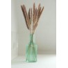 FIORE Carafe