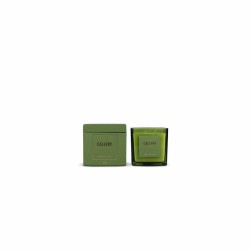 GALLERY Collection FOREST Bougies et diffuseurs