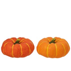 Citrouille basse plate