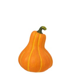 Citrouille xl haute