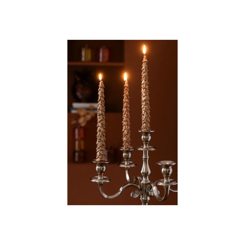Coffret de 2 chandelles sapin - Bronze