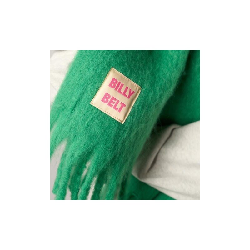 Echarpe ColorPop Vert