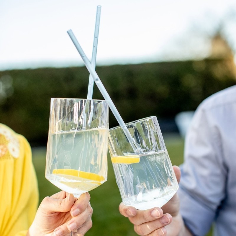 Boite de 6 Pailles Cheers Koziol 28cm