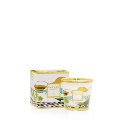 RIO Bougie My First Baobab MFB