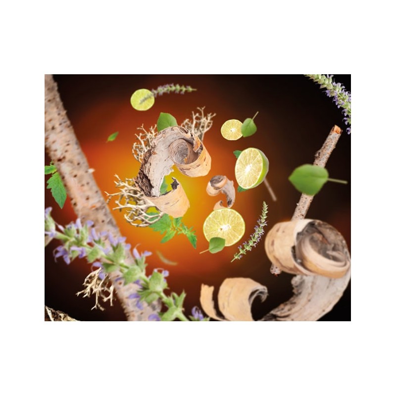 Terre Sauvage - Recharge Lampe Berger