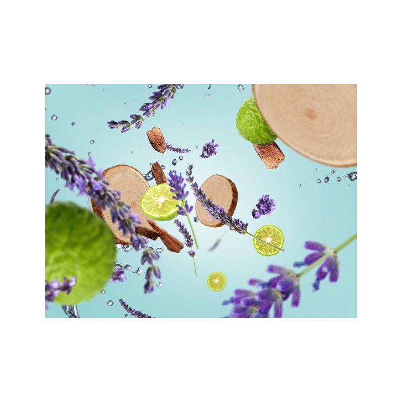 Clarté Boisée - Recharge Lampe Berger