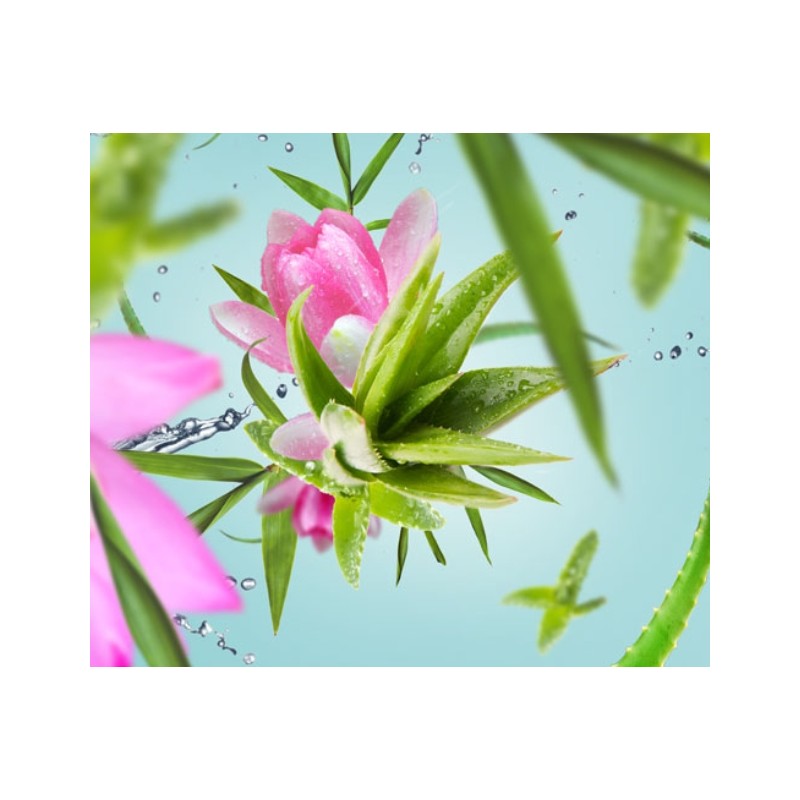 Eau d Aloe - Recharge Lampe Berger