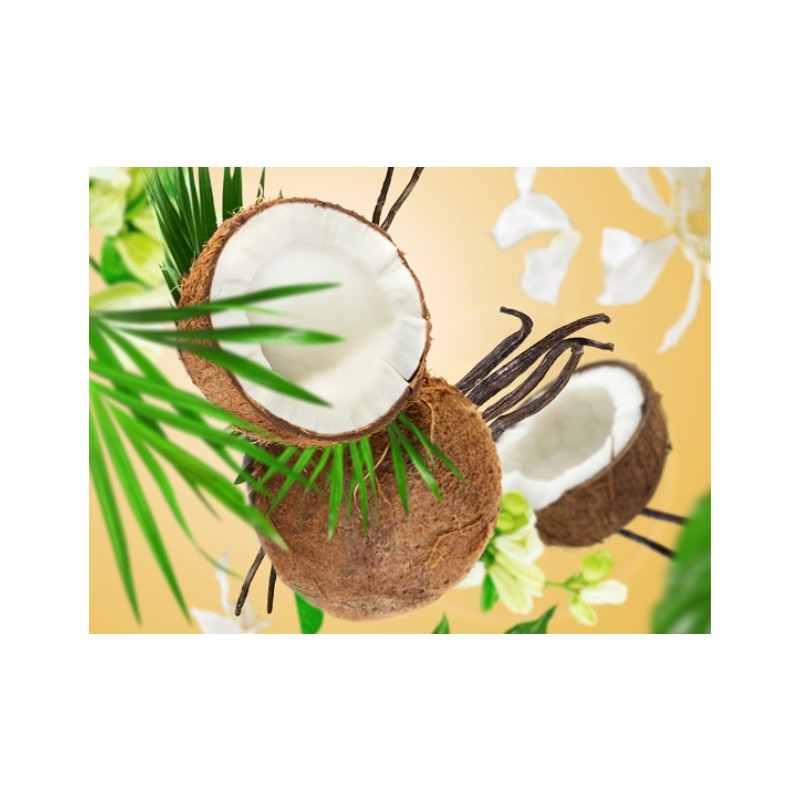 Coco Monoi - Recharge Lampe Berger