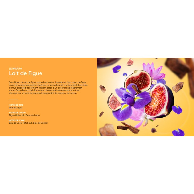 Lait de Figue - Recharge Lampe Berger