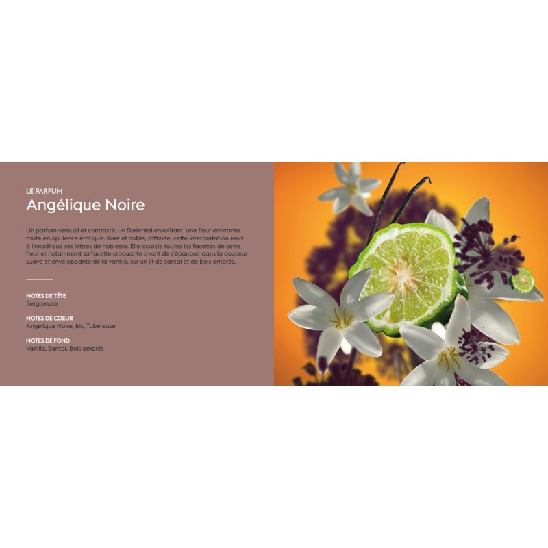 Angélique Noire - Recharge Lampe Berger