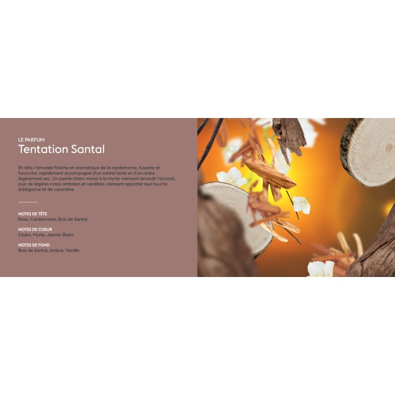 Tentation Santal - Recharge Lampe Berger